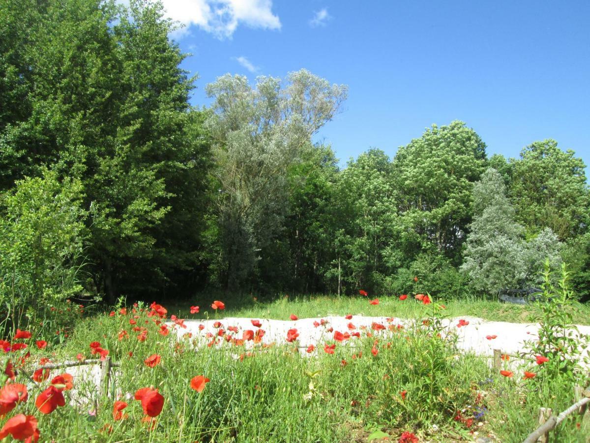 La Fuste Des Garceaux Bed and Breakfast Orconte Exteriör bild